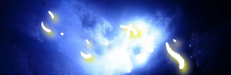 こ・こ・か・ら