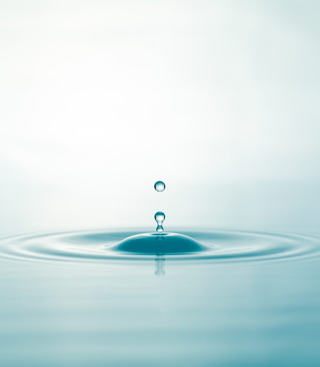 ベーシックコース