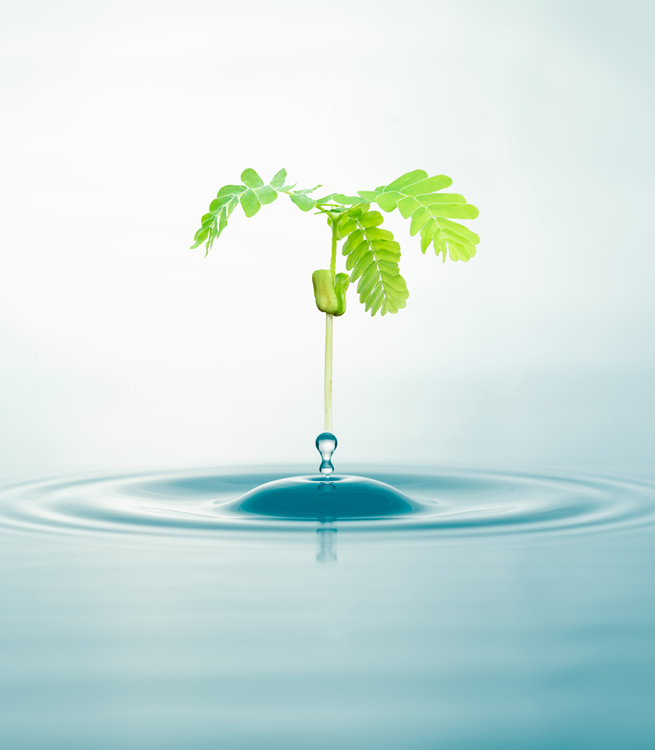 Single Product Image